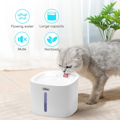 Meilleure fontaine à eau pour chats - NAcloset