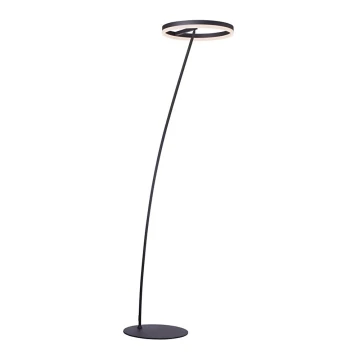 Paul Neuhaus 381-13 - Lampadaire à intensité variable TITUS LED/19,5W/230V