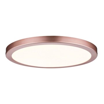 Paulmann 70872 - Panneau à intensité variable LED/22W ATRIA 230V 2700K d. 30 cm Rose doré