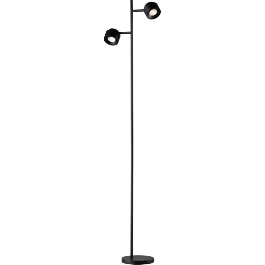 Paulmann 79775 - 2xLED/3W Lampadaire à intensité variable PURIK PANE 230V