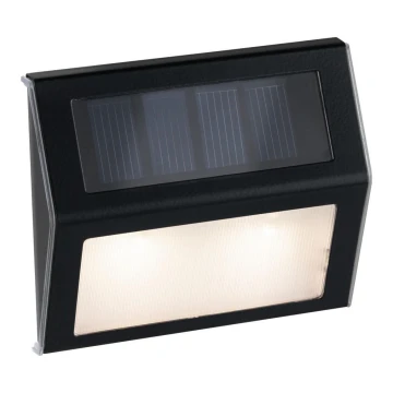 Paulmann 94234- Luminaire solaire avec détecteur LED/0,05W IP44 DAYTON 1,5V