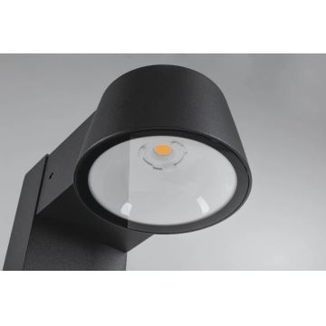 Paulmann 94715 - LED/6W IP44 Lampe d'extérieur CAPERA 230V