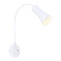 Petite lampe flexible ARENA 1xE14/40W/230V blanc