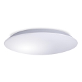 Plafonnier de salle de bain AVESTA LED/18W/230V 4000K IP54