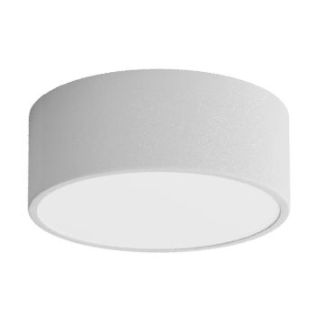 Plafonnier de salle de bain CLEO 1xE27/24W/230V d. 20 cm gris IP54