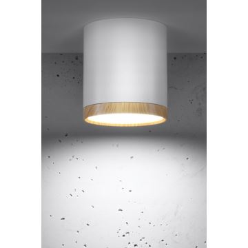 Plafonnier LED TUBA LED/5W/230V blanc/beige