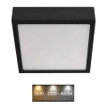 Plafonnier NEXXO LED/12,5W/230V 3000/3500/4000K 17x17 cm noir
