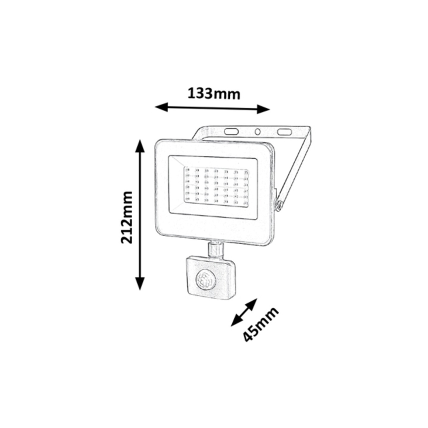 Rabalux - Projecteur avec détecteur LED/30W/230V 4000K IP44 noir