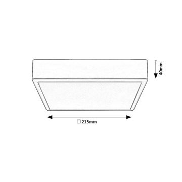 Rabalux - Plafonnier LED/22W/230V 3000/4000/6000K 21x21 cm blanc