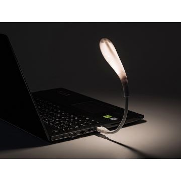 Rabalux - Petite lampe USB flexible LED/2W/5V