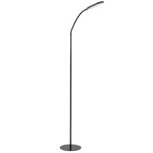Lampe minimaliste, lampadaire LED à intensité variable, lampe d'angle  design en noir et blanc, colonne lumineuse élégante pour une lumière chaude  pour
