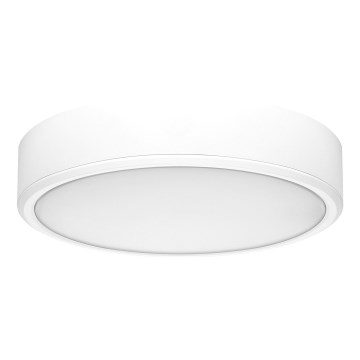 Rabalux - Plafonnier LED/22W/230V 3000/4000/6000K d. 21 cm blanc