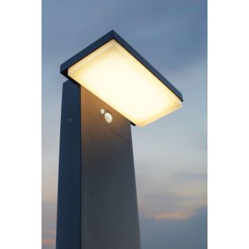 Redo 90536 - Lampe solaire avec détecteur TAIYO LED/2W/3,7V 3000K IP54 anthracite