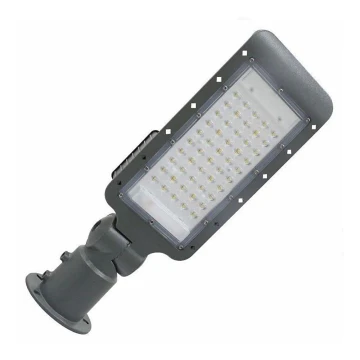 Réverbère LED avec un détecteur LED/50W/170-400V IP65