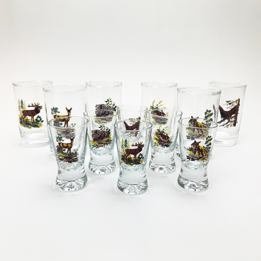 lot x1 0,5l bouteille en verre et x6 verre à shot transparent avec motif de  fruit