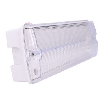 Bloc de secours LED/6W/230V IP65 6500K