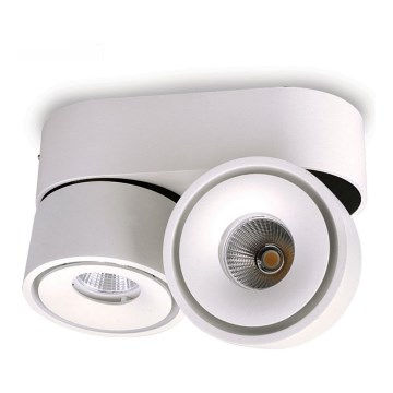 Spot à intensité variable LED LAHTI MINI 2xLED/9W/230V 3000K CRI 90 blanc
