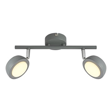 Spot LED MILD 2xLED/6W/230V gris