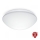 Steinel 056131 - Plafonnier salle de bain RS PRO LED P3 LED/19,5W/230V IP54 3000K