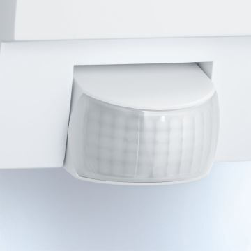 STEINEL 650513 - L1 Lampe blanche extérieur avec détecteur