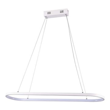 Suspension filaire LED/24W/230V 3000K blanc
