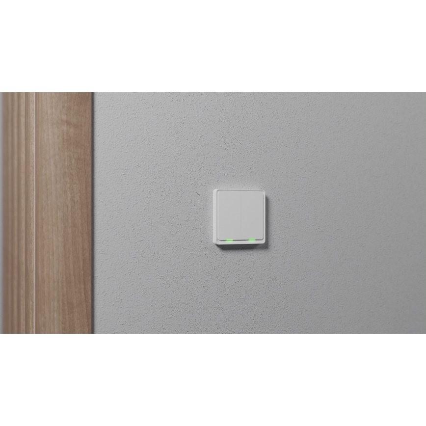 TESLA Smart - Interrupteur maison connectée 2P 230V Zigbee