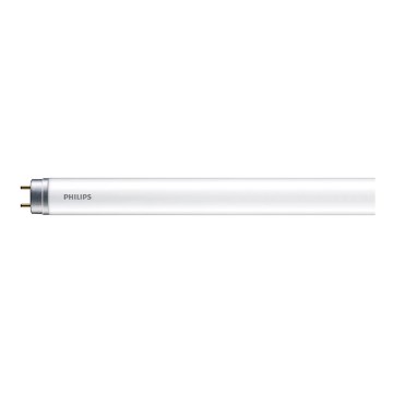 Tube fluorescent Philips LED T8 G13/16W/230V 6500K 121,2 cm