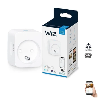 WiZ - Prise connectée E 2300W Wi-Fi