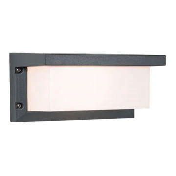 Zambelis E128 - Applique murale extérieure 1xE27/18W/230V IP54 anthracite